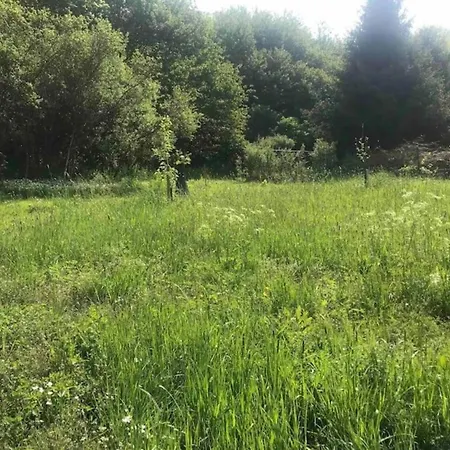 Tatil Evi Countryside Mansion, Cleaning Included *